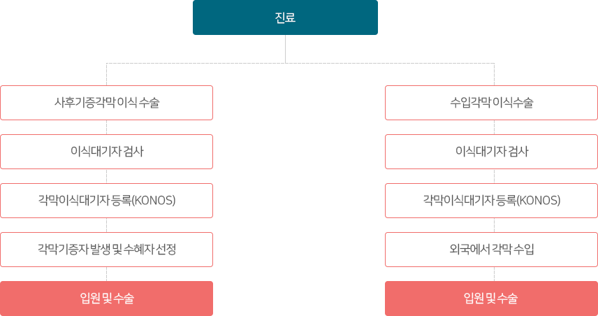 진료 사후기증각막 이식 수술 이식대기자 검사 각막이식대기자 등록(KONOS) 각막기증자 발생 및 수혜자 선정 입원 및 수술 수입각막 이식수술 이식대기자 검사 각막이식대기자 등록(KONOS) 외국에서 각막 수입 입원 및 수술 