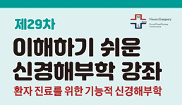 제29차 이해하기 쉬운 신경해부학 강좌