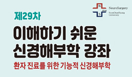 제29차 이해하기 쉬운 신경해부학 강좌